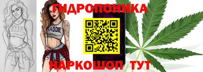 крисы Обнинск