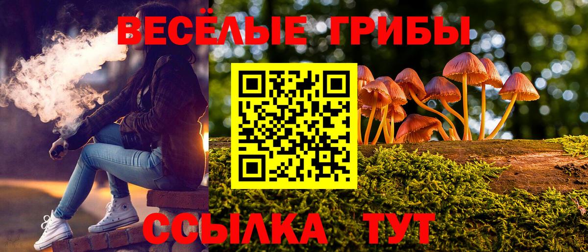наркошоп  Вход с VPN  Сургут  Галлюциногенные грибы мицелий 