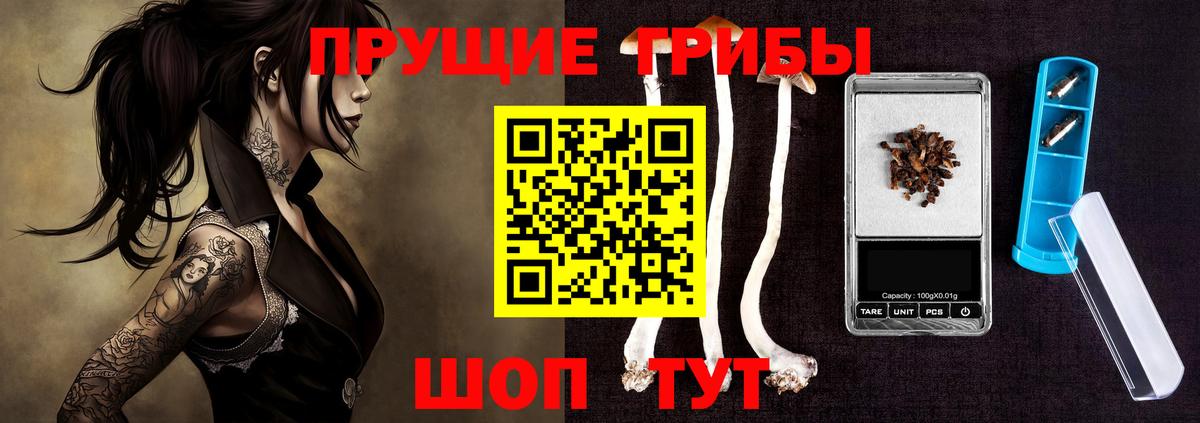 Псилоцибиновые грибы прущие грибы Сургут